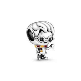 Talisman Harry Potter, Harry Potter