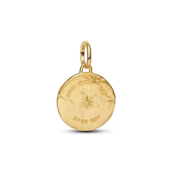 Talisman de tip medalion cu rândunică 
