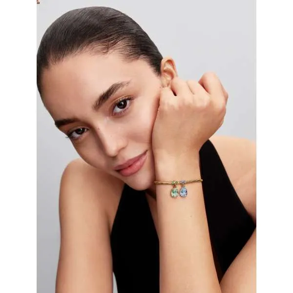 Разделяемая подвеска Bridgerton — бабочка и пчела 