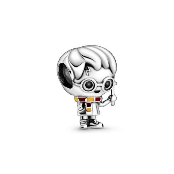 Talisman Harry Potter, Harry Potter