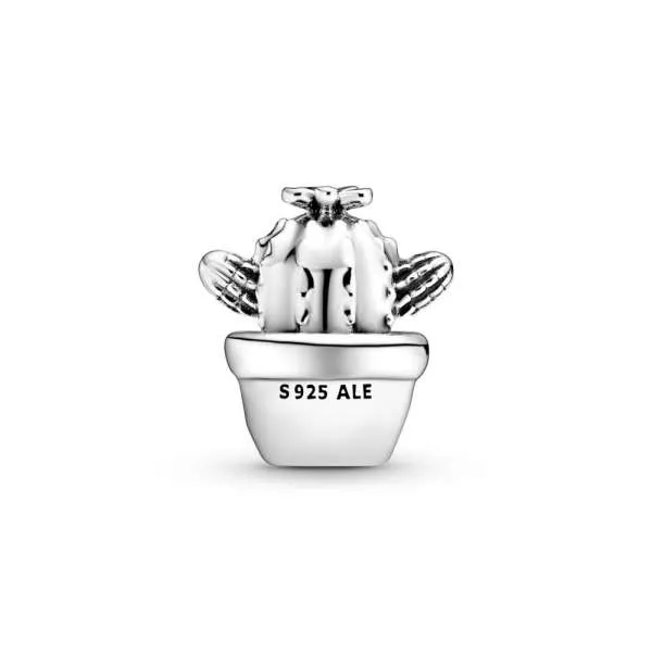 Talisman cu cactus îmbrățișări gratuite