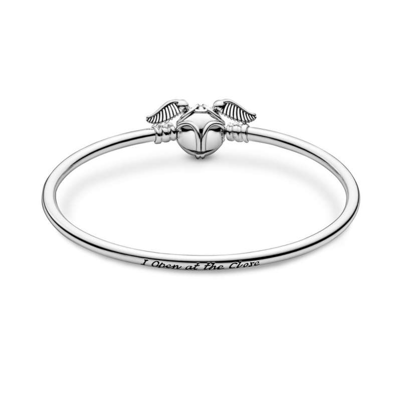 Brățară fixă cu sistem de închidere Pandora Moments Harry Potter, Hoțoaica de aur