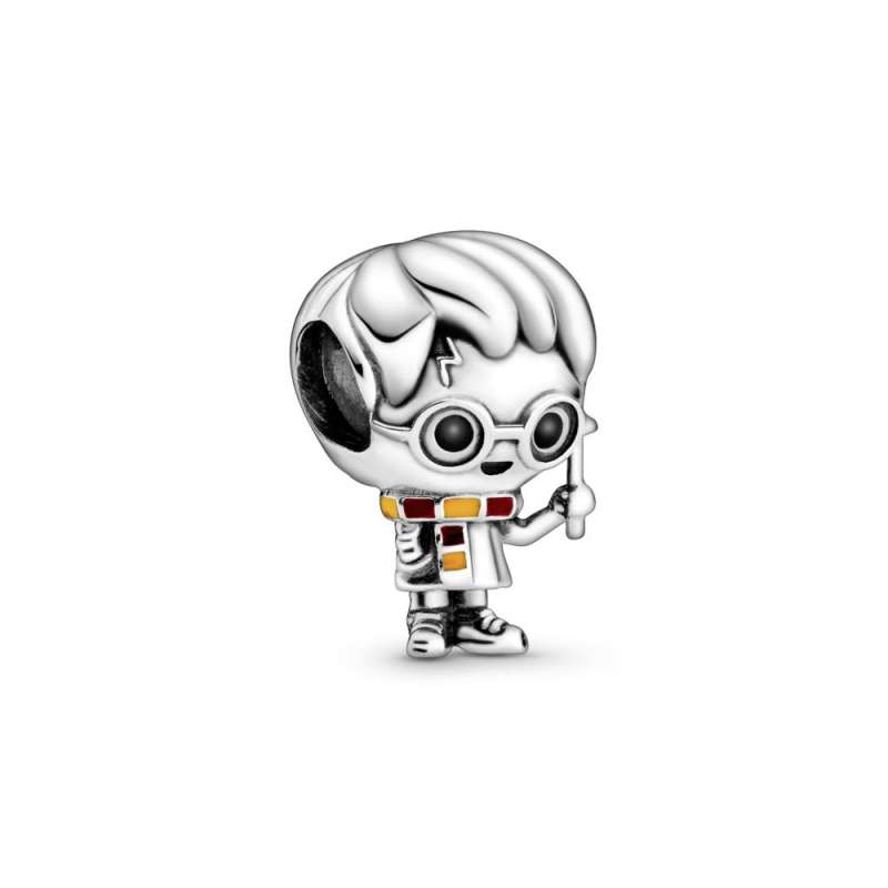 Talisman Harry Potter, Harry Potter