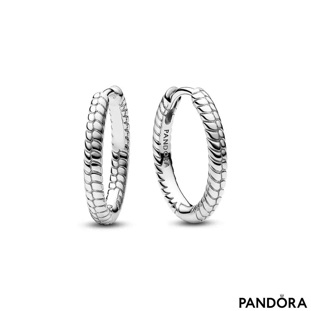 Небольшие серьги-колечки для шармов Pandora Моментс
