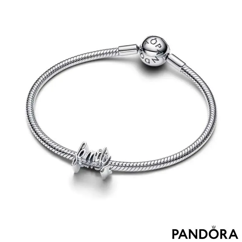 Шарм «Family» с рукописной надписью 