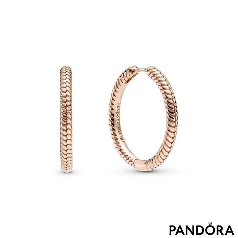 Cercei rotunzi cu talismane Pandora Moments
