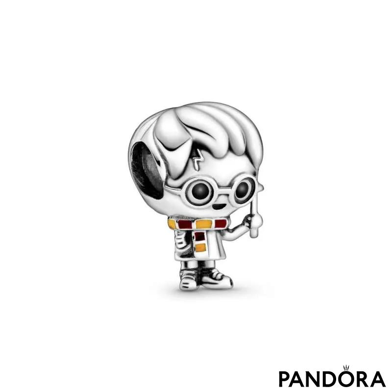 Talisman Harry Potter, Harry Potter
